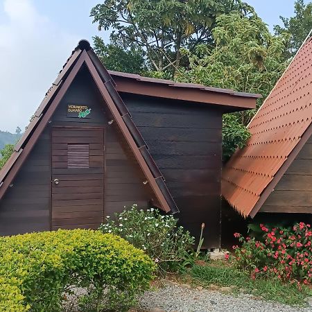 Casa Tucan Glamping Hotel Turrialba Kültér fotó